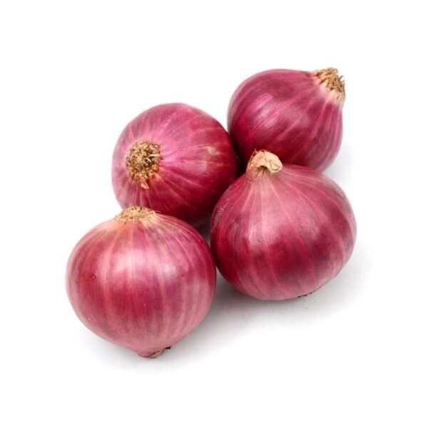 Onion - پیاز